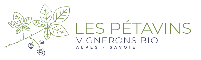 Logo Domaine des Alpins
